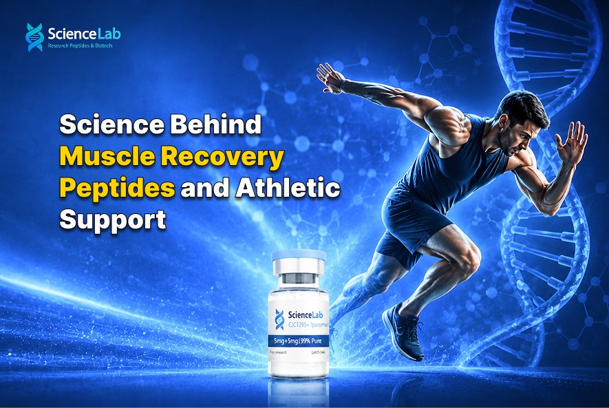 Science of Muscle Recovery Peptides for Athletes